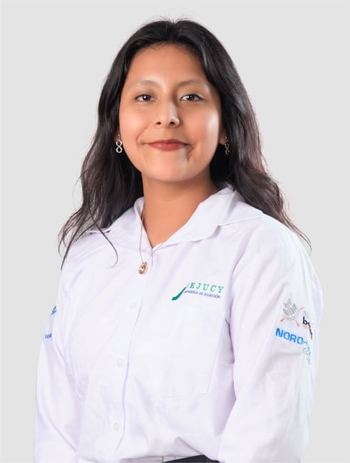 Minerva Estrada